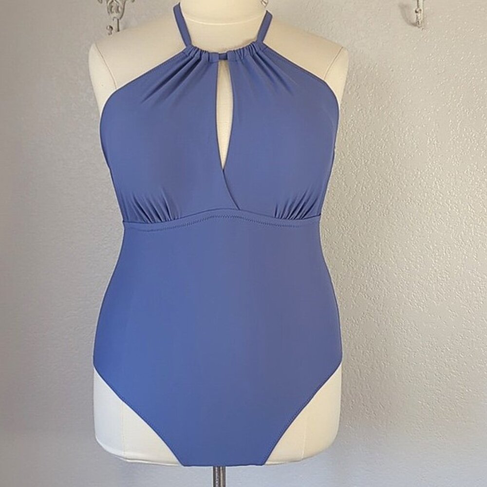 Raisins Curve 20W One Piece Calina Solids Catania Swimsuit Lined
